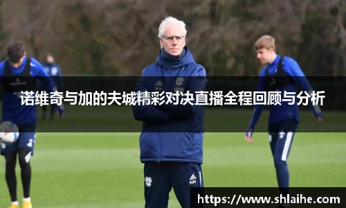 诺维奇与加的夫城精彩对决直播全程回顾与分析