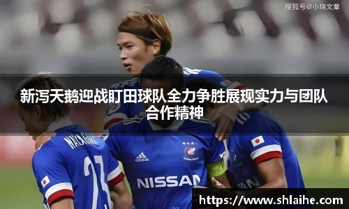 新泻天鹅迎战盯田球队全力争胜展现实力与团队合作精神